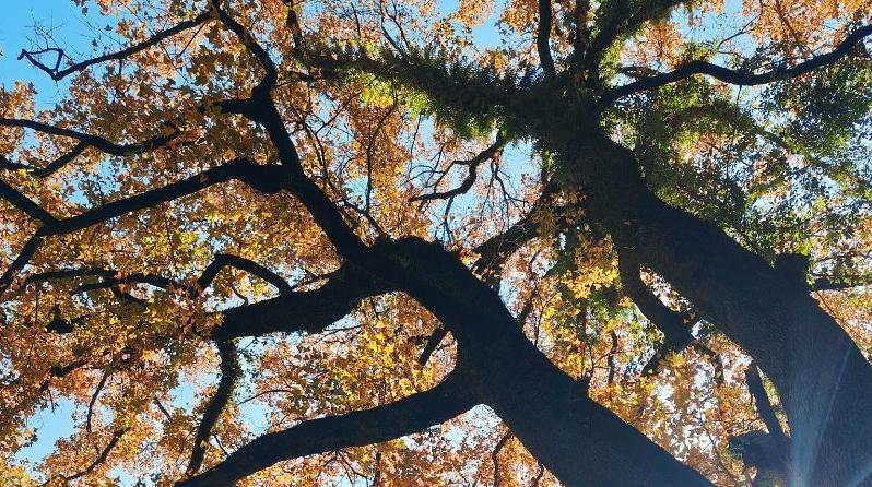 徒步热潮唤醒千年古道 宁德山海间走出文旅新路径