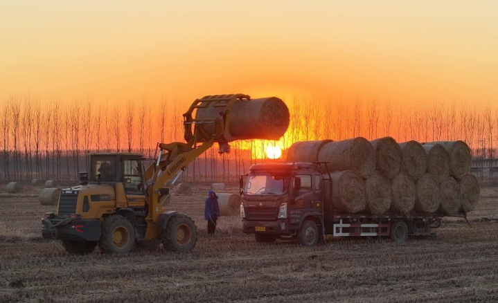 河北丰南：秸秆回收 助农增收